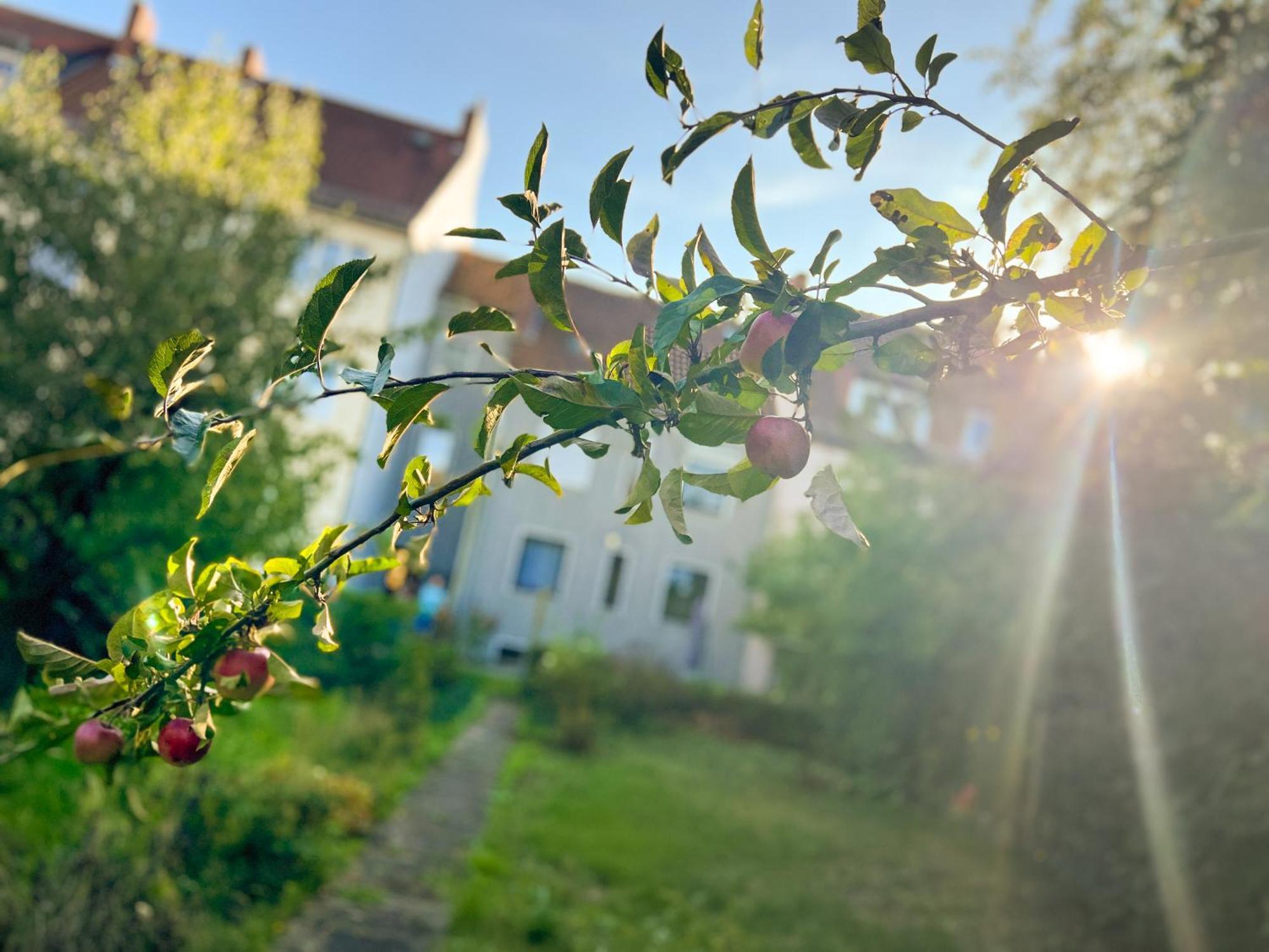 Appartamento Immostay #7 -helle Mit Grossem Garten -4 Zimmer, Wifi & Free Parking