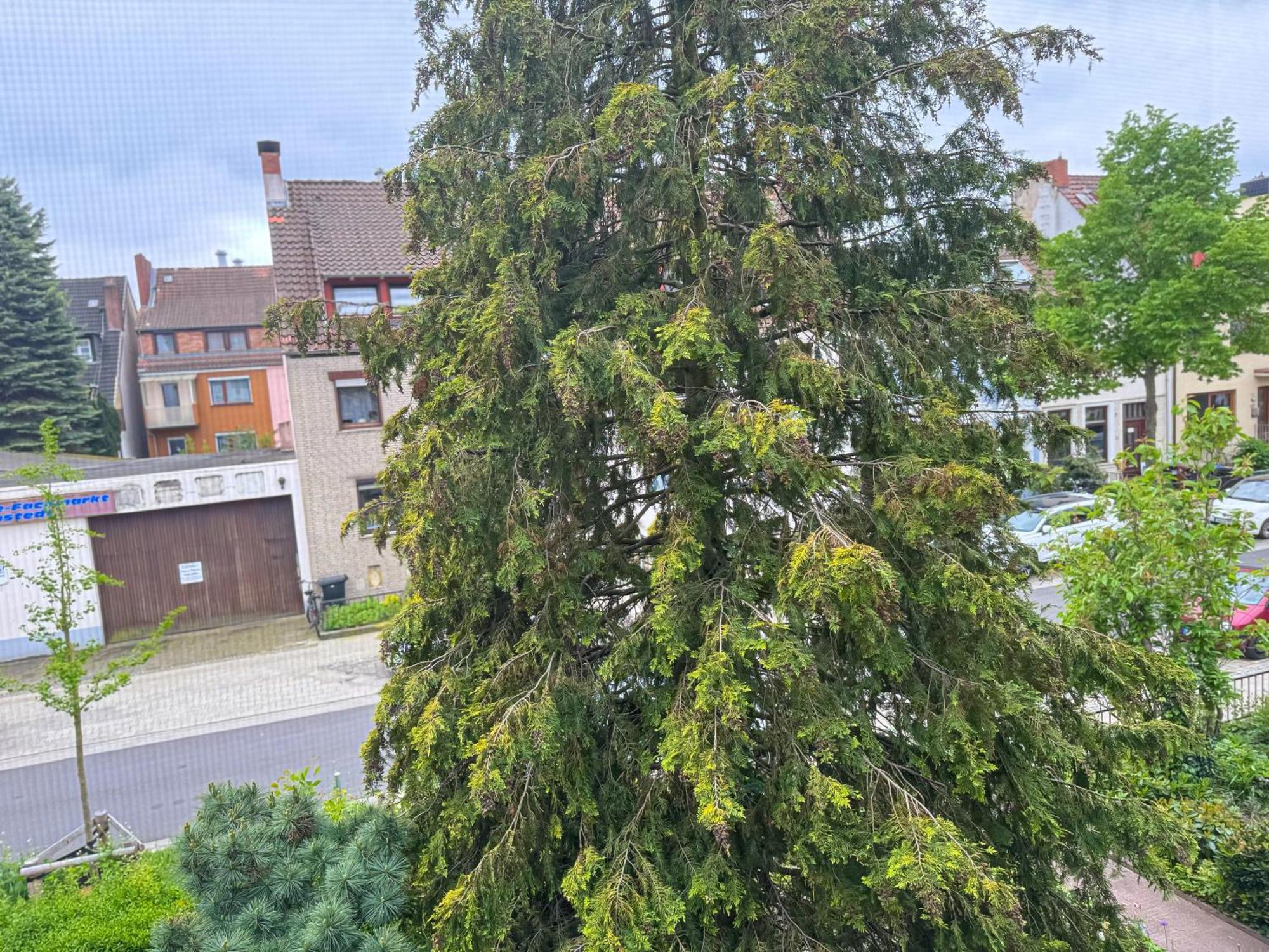 Appartamento Immostay #7 -helle Mit Grossem Garten -4 Zimmer, Wifi & Free Parking *
